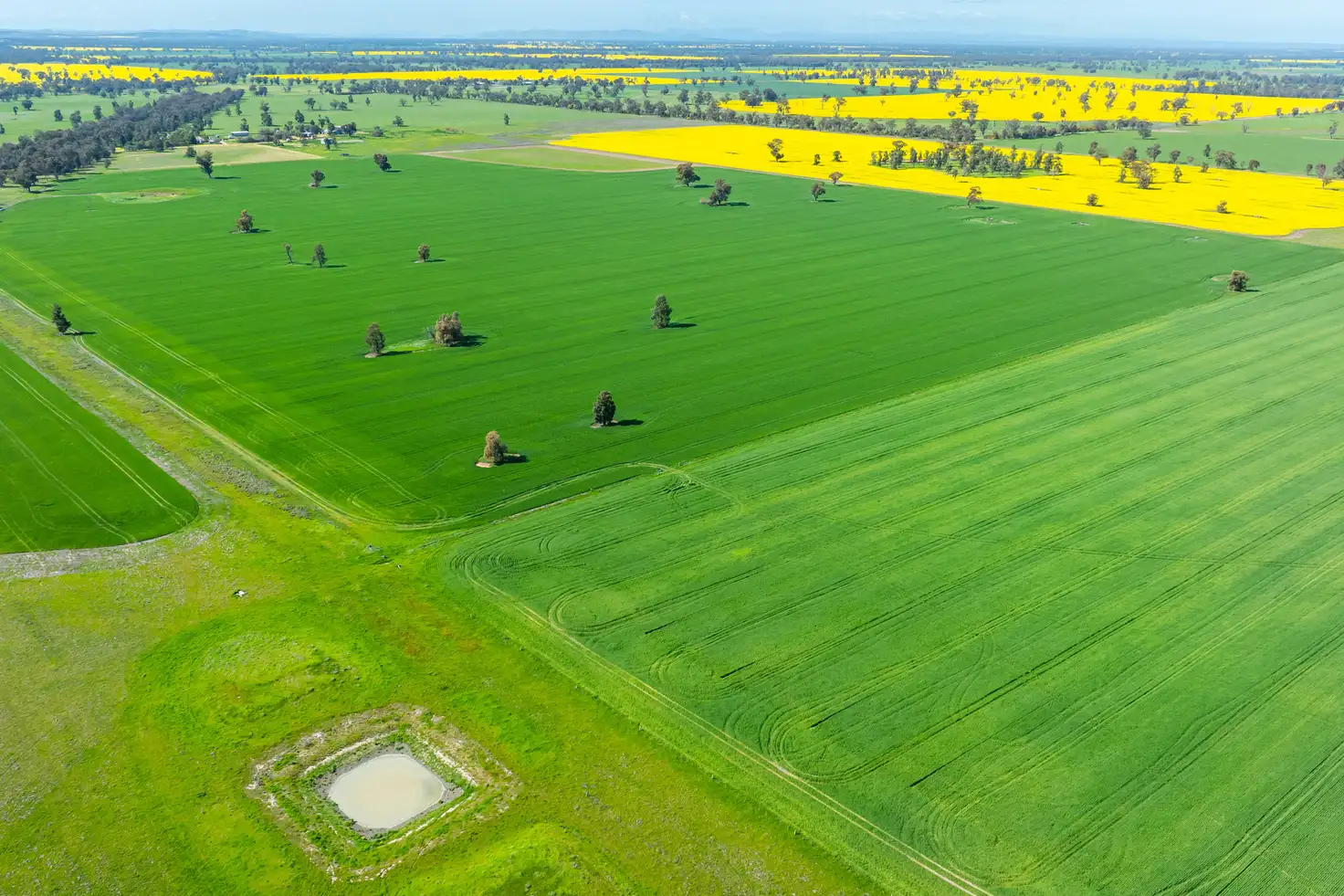 Main view of Homely rural property listing, 153 Balldale-Coreen Road, Corowa NSW 2646