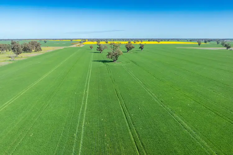 Second view of Homely rural property listing, 153 Balldale-Coreen Road, Corowa NSW 2646