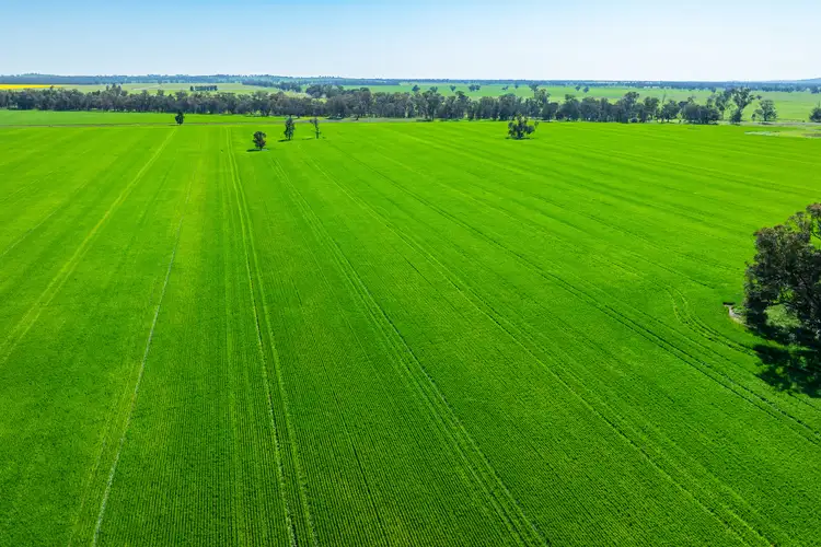 Fourth view of Homely rural property listing, 153 Balldale-Coreen Road, Corowa NSW 2646