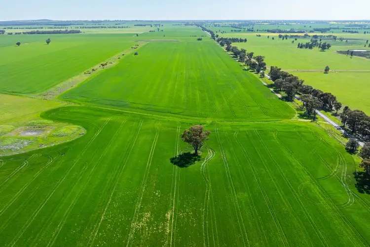 Fifth view of Homely rural property listing, 153 Balldale-Coreen Road, Corowa NSW 2646