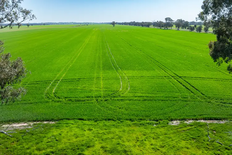 Sixth view of Homely rural property listing, 153 Balldale-Coreen Road, Corowa NSW 2646