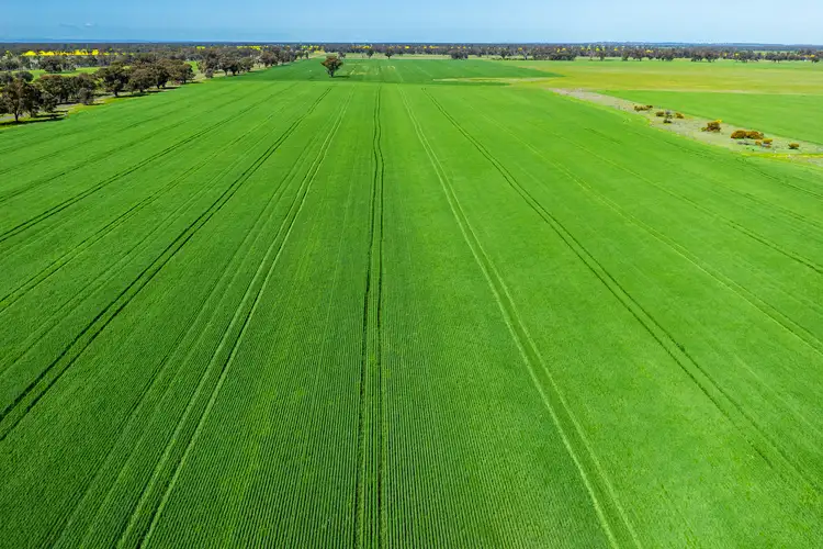 Seventh view of Homely rural property listing, 153 Balldale-Coreen Road, Corowa NSW 2646