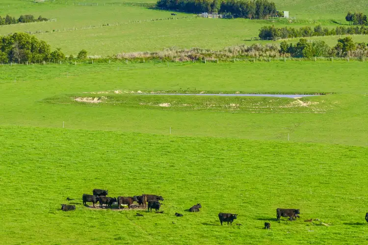 Fourth view of Homely rural property listing, 280 Woolamai Road, Bass VIC 3991