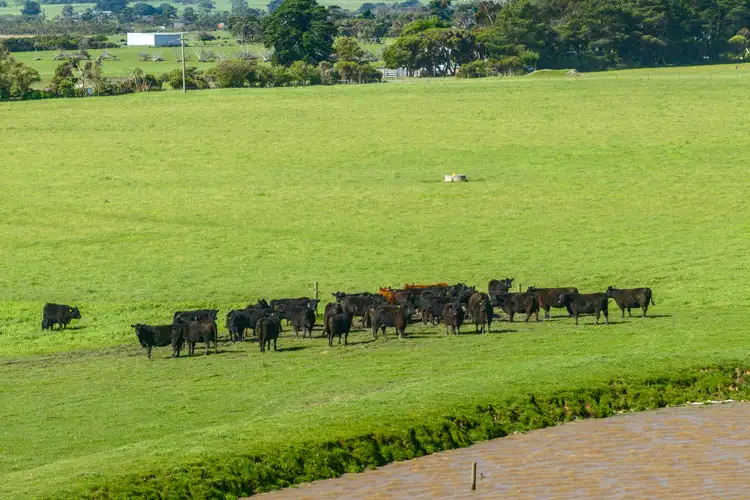 Seventh view of Homely rural property listing, 280 Woolamai Road, Bass VIC 3991