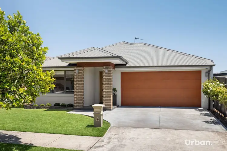 Main view of Homely house listing, 20 Setaria Street, Marsden Park NSW 2765