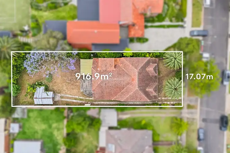 25 Newton Road, Strathfield NSW 2135