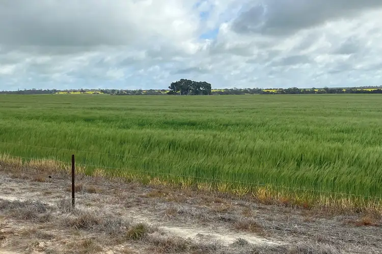 Main view of Homely rural property listing, 24488 Cousins Road, Cunderdin WA 6407