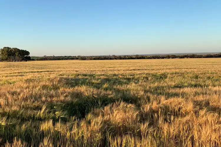 Second view of Homely rural property listing, 24488 Cousins Road, Cunderdin WA 6407