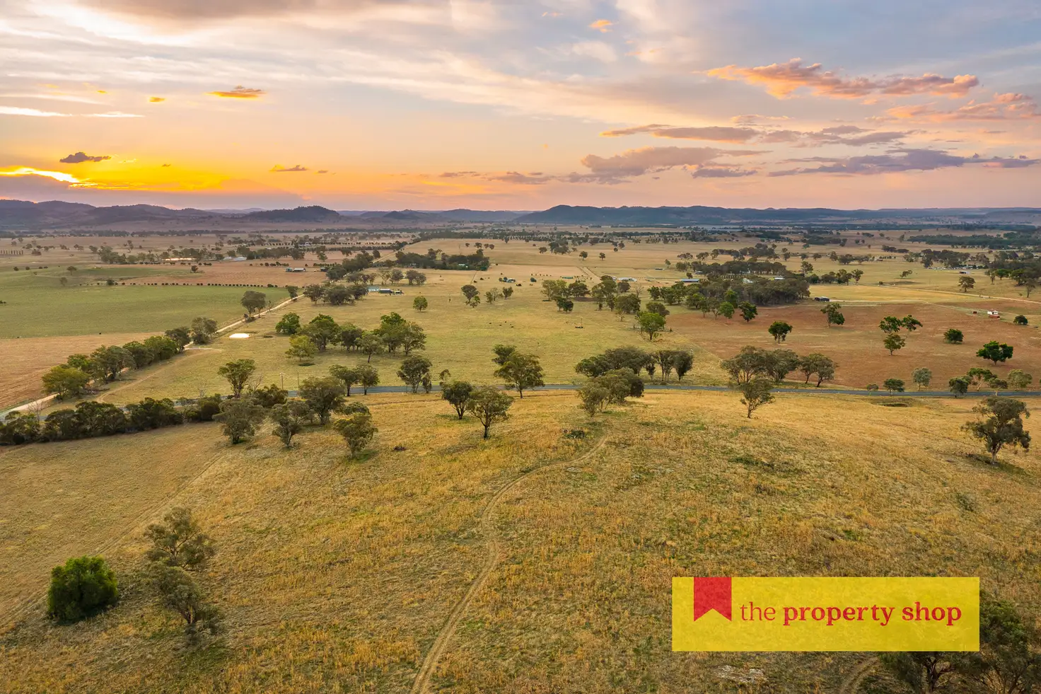 Main view of Homely rural property listing, 705 Springfield Lane, Gulgong NSW 2852