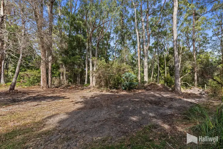 Fourth view of Homely rural property listing, 15 Panatana Drive, Port Sorell TAS 7307