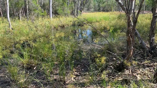 Main view of Homely rural property listing, L184 Golden Glow Road, Tara QLD 4421