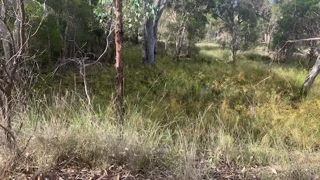 Sixth view of Homely rural property listing, L184 Golden Glow Road, Tara QLD 4421