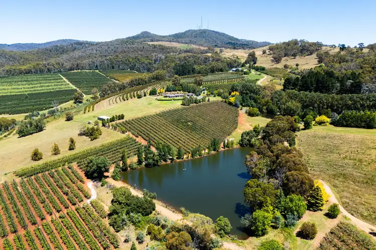 Main view of Homely rural property listing, 293 Nancarrow Lane, Orange NSW 2800