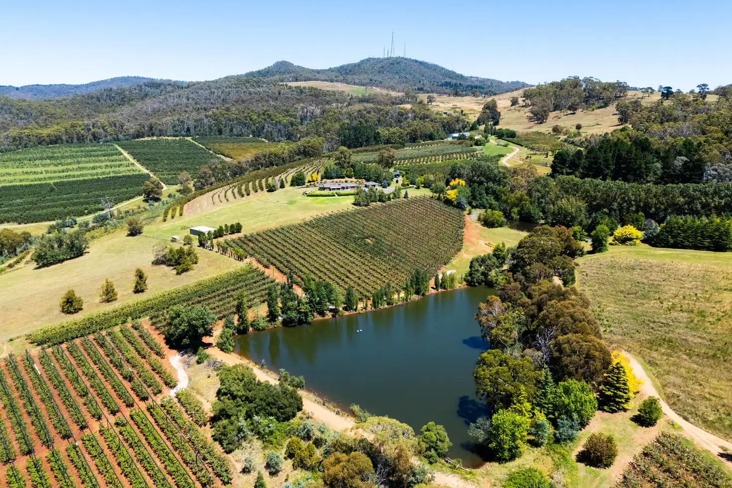 Main view of Homely rural property listing, 293 Nancarrow Lane, Orange NSW 2800