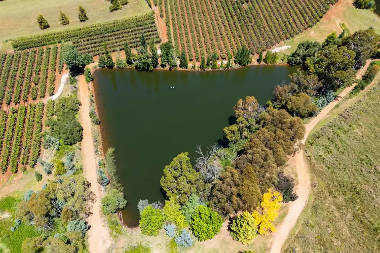 Third view of Homely rural property listing, 293 Nancarrow Lane, Orange NSW 2800