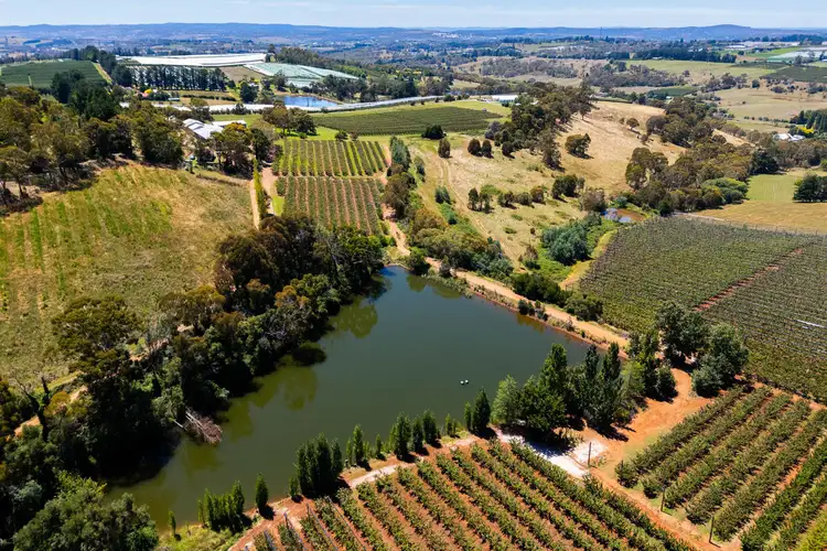 Fifth view of Homely rural property listing, 293 Nancarrow Lane, Orange NSW 2800