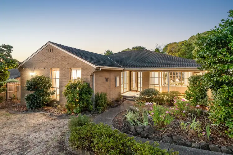 5 Savanna Drive