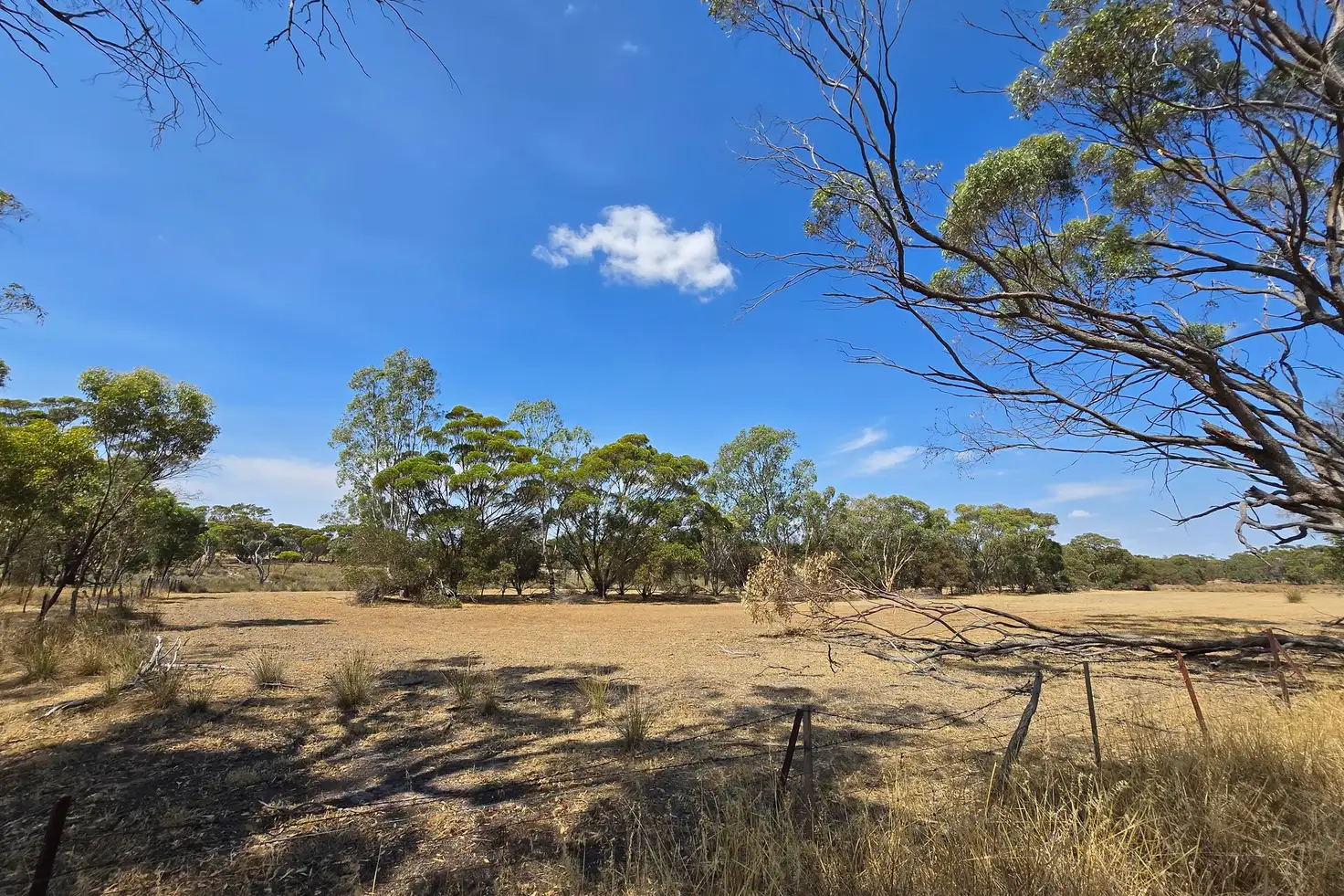 Main view of Homely land listing, Lot 18 Forrest Hill Road, Katanning WA 6317