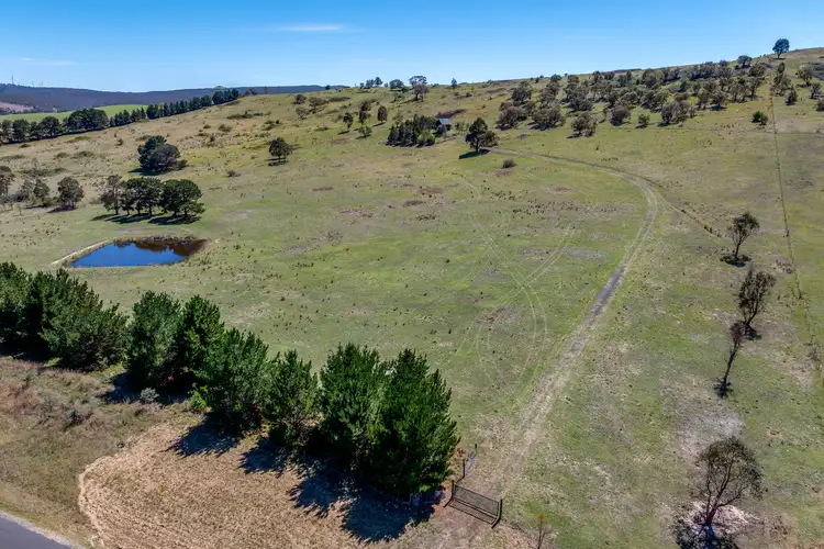 Third view of Homely rural property listing, 1236 Pomeroy Road, Mummel NSW 2580
