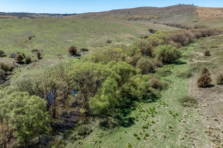 Seventh view of Homely rural property listing, 1236 Pomeroy Road, Mummel NSW 2580