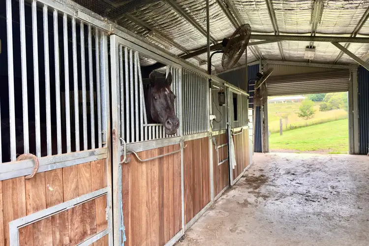Second view of Homely rural property listing, 8 Uralla Road, East Kurrajong NSW 2758