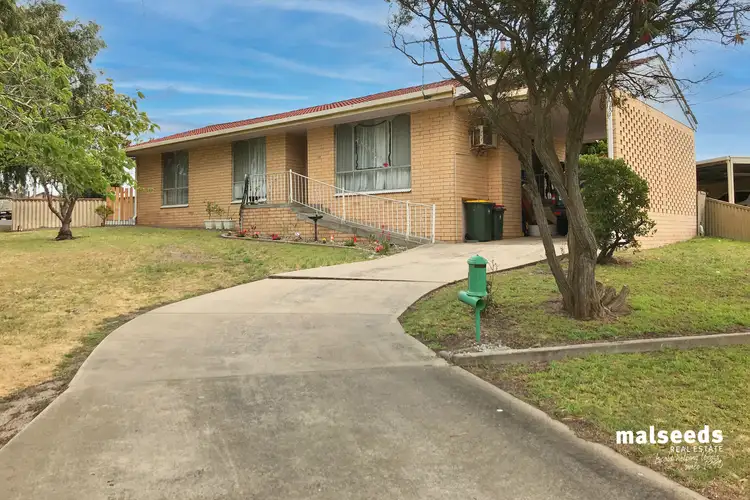 Main view of Homely house listing, 19 Hutchesson Street, Millicent SA 5280