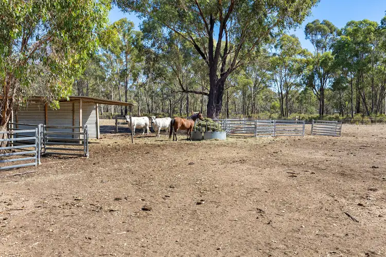 Sixth view of Homely land listing, 144 Timbertop Road, Betley VIC 3472