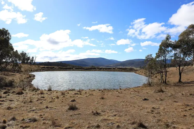 Fifth view of Homely rural property listing, 1917 Limestone Road, Benambra VIC 3900