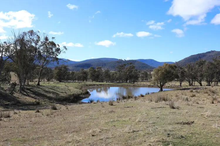 Sixth view of Homely rural property listing, 1917 Limestone Road, Benambra VIC 3900