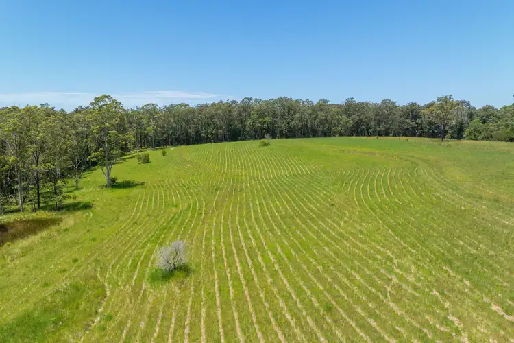 Seventh view of Homely rural property listing, 200 Brookhouse Road, Mortons Creek NSW 2446