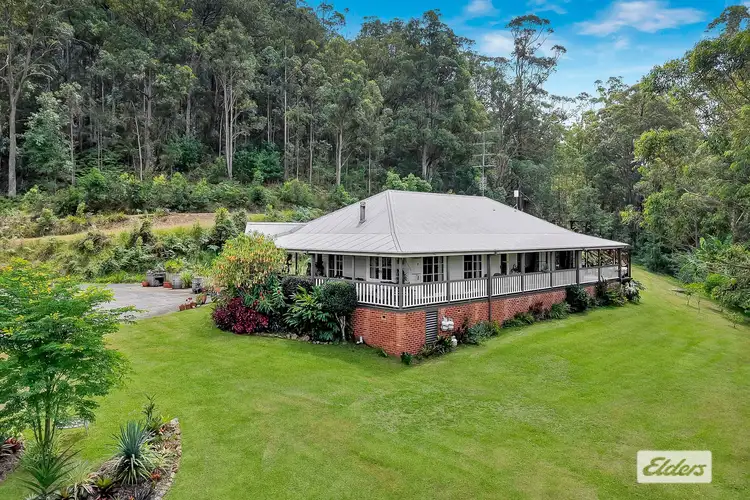 60 Brush Creek Road, Cedar Brush Creek NSW 2259