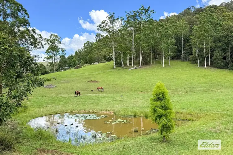 Second view of Homely rural property listing, 60 Brush Creek Road, Cedar Brush Creek NSW 2259