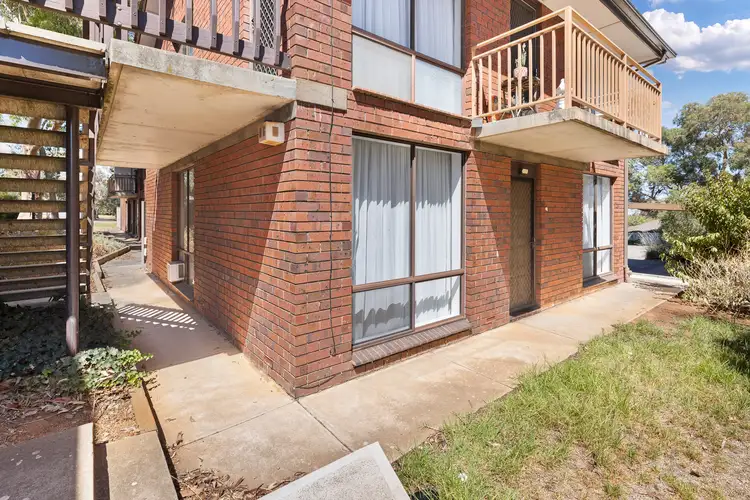7/113 Winchester Street
