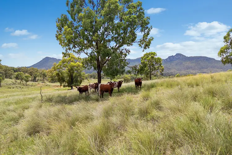 Fourth view of Homely rural property listing, 3022 Glen Alice Road, Rylstone NSW 2849