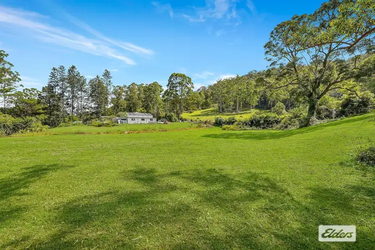 91 Brush Creek Road, Cedar Brush Creek NSW 2259