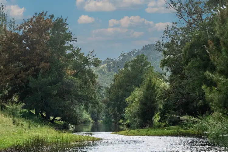 Third view of Homely rural property listing, 457 Paterson River Road, Gresford NSW 2311