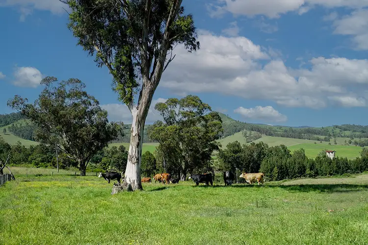 Sixth view of Homely rural property listing, 457 Paterson River Road, Gresford NSW 2311