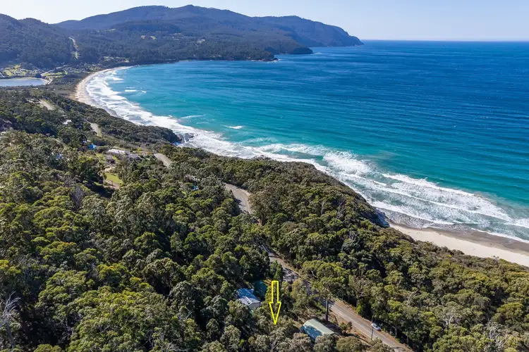 142 Blowhole Road, Eaglehawk Neck TAS 7179