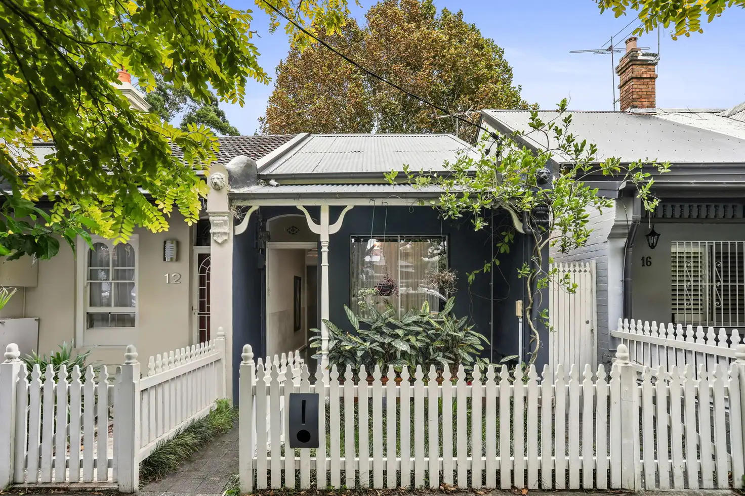 Main view of Homely house listing, 14 Ferris Street, Annandale NSW 2038