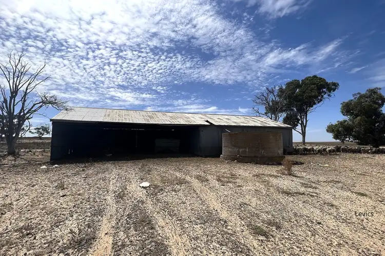 Fourth view of Homely rural property listing, 256 Blacket Road, Wynarka SA 5306