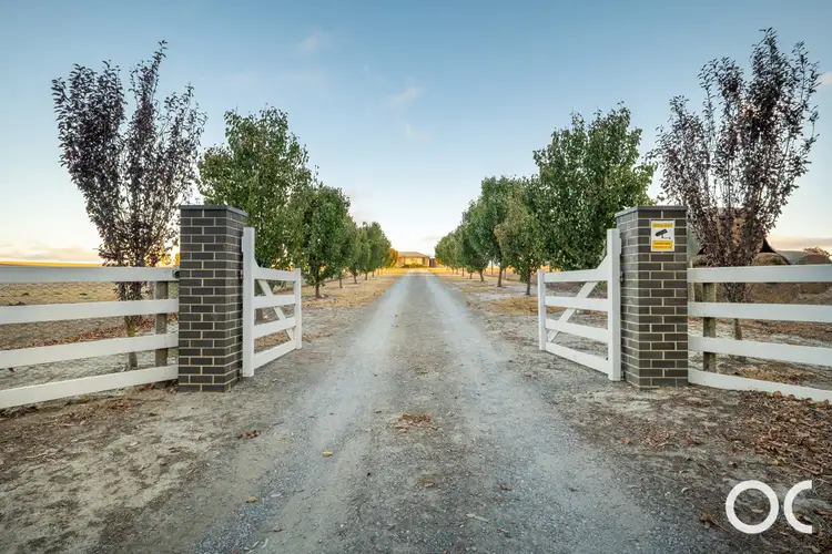99 Prosser Road, Pages Flat SA 5172