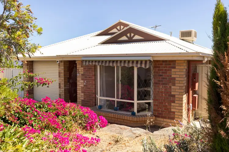 49 Chamberlain Drive