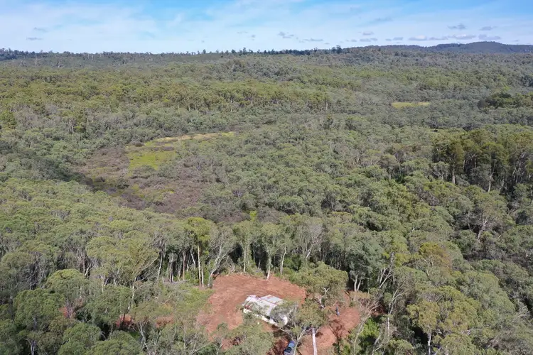 Main view of Homely rural property listing, 710 Old Bendoc Bonang Road, Bendoc VIC 3888