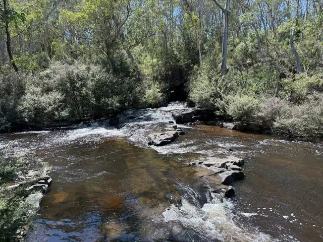 Fifth view of Homely rural property listing, 710 Old Bendoc Bonang Road, Bendoc VIC 3888