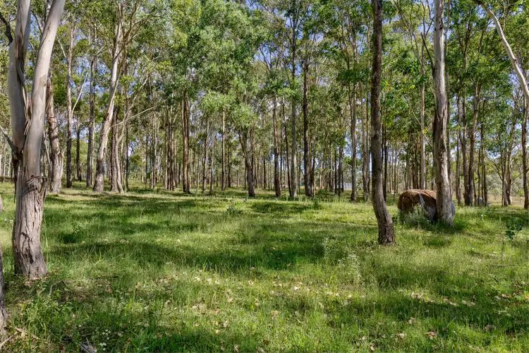 Sixth view of Homely rural property listing, 455 Dungog Road, Vacy NSW 2421