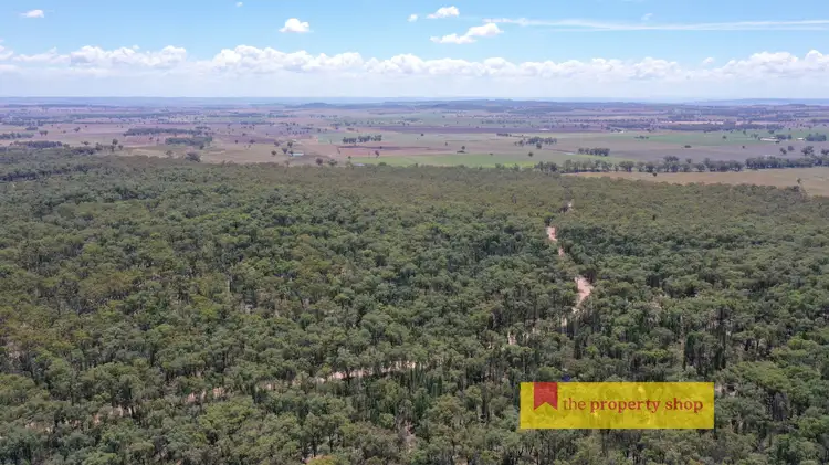 Main view of Homely rural property listing, 538-735 Laheys Creek Road, Dunedoo NSW 2844