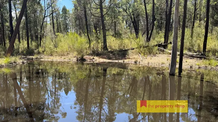 Fourth view of Homely rural property listing, 538-735 Laheys Creek Road, Dunedoo NSW 2844
