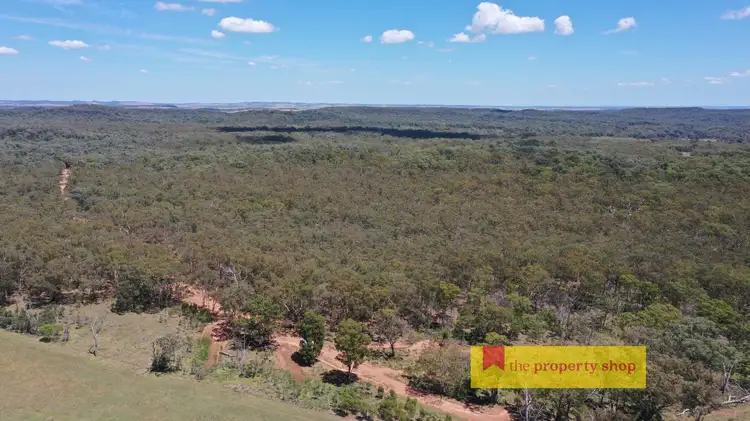 Fifth view of Homely rural property listing, 538-735 Laheys Creek Road, Dunedoo NSW 2844