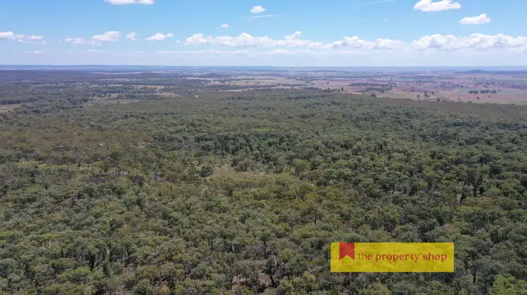 Sixth view of Homely rural property listing, 538-735 Laheys Creek Road, Dunedoo NSW 2844
