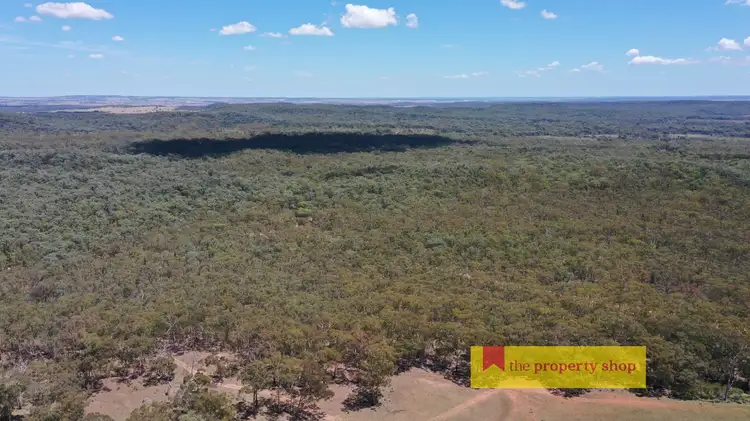 Seventh view of Homely rural property listing, 538-735 Laheys Creek Road, Dunedoo NSW 2844